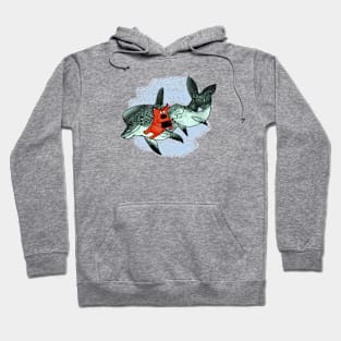 Dolphins and cat Hoodie